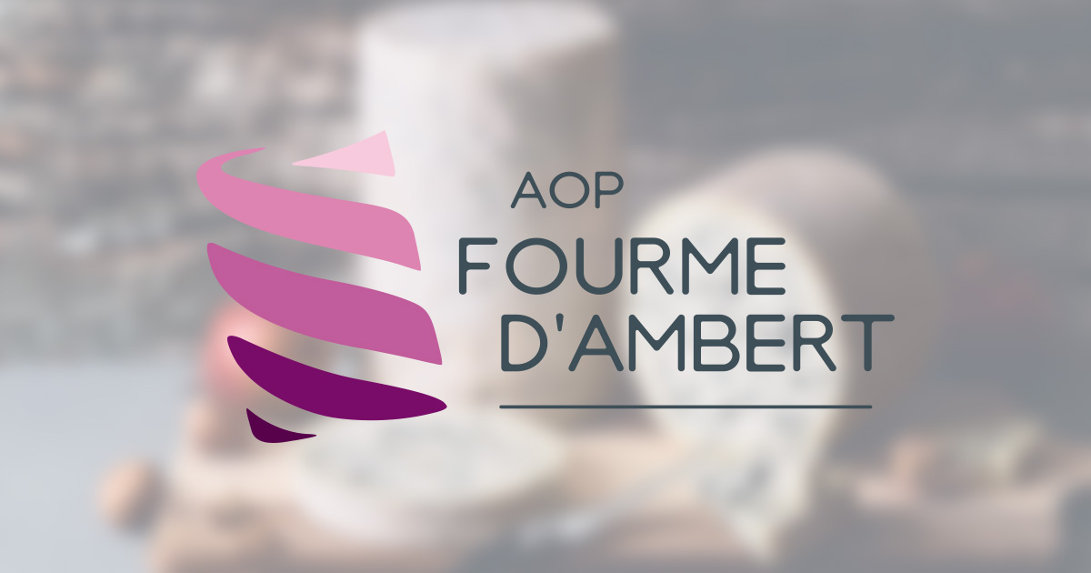 social-media-fourme-ambert /upload/thumbnail1/2025/2/24/195202/thumb2